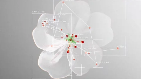 Computer Vision with Object Recognition Scanner Overlay. Big Data. CCTV AI Stock Footage 319278345