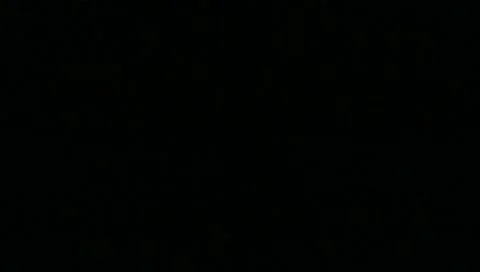 Computer waking up from sleep mode Video stock 11252002