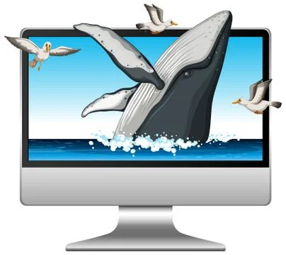 Computer with whale on screen Illustrazione stock