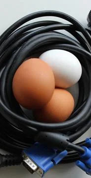 Computer Wires Rolled Into A Nest Shape With Chicken Eggs Inside Foto stock