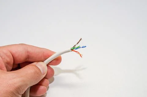 A computer wizard strips the wires of an Internet cable for connecting a twisted Stock Photos