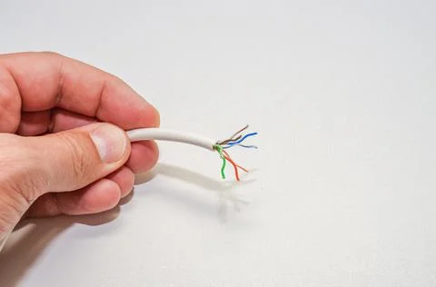 A computer wizard strips the wires of an Internet cable for connecting a twisted Stock Photos