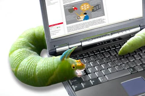 Computer worm Stock Photos
