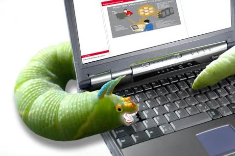 Computer worm Stock Photos