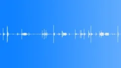 COMPUTER,BEEP Sound Effect