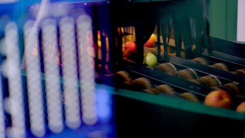 Computerized Equipment in a factory for washing, drying and sorting apples. Ripe Video stock 95957285