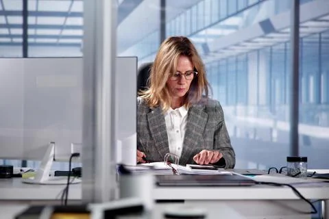 Computerized Tax Auditor 스톡 사진