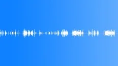 COMPUTER,KEYBOARD Sound Effect