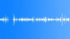 COMPUTER,KEYBOARD Sound Effect