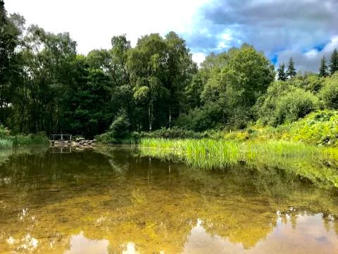 Comrie Croft Pond Stockfoto's