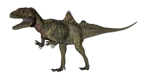 Concavenator dinosaur roaring - 3D render Stock Illustration