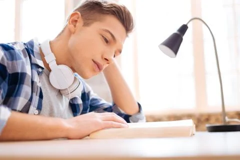 Concentrated avid reader reading a book Stock Photos