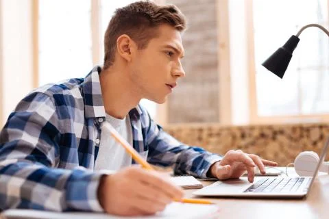 Concentrated boy learning his lessons at home Stock Photos