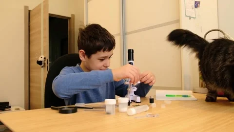 Concentrated kid turns the focus knob on a microscope as a cat rests beside him Stockbeeldmateriaal 330109755