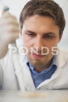 Concentrated male scientist using a pipette Stock Photos