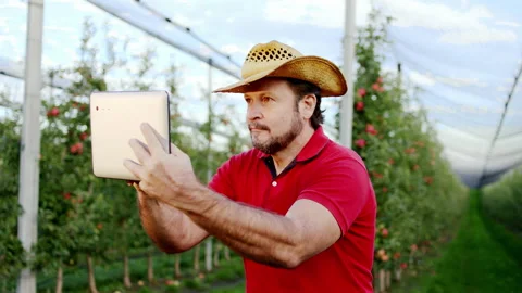 Concentrated man farmer using digital tablet in the middle of apple orchard he Stock Footage 147189906