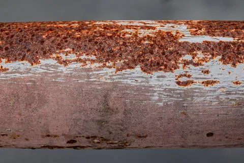 Concentrated rust spots profile Photos