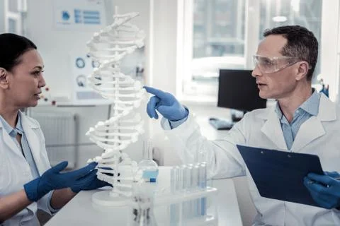 Concentrated scientists studying complicated structure of the human DNA Stock Photos