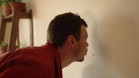 Concentrated young caucasian handyman using an electric cordless drill to bore Stock Footage 344253170