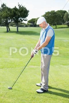 Concentrating golfer lining up his shot Stock Photos