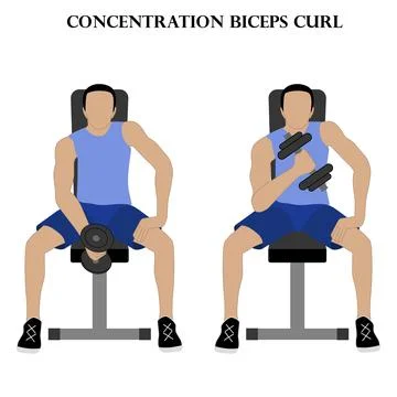 Concentration biceps curl exercise strength workout vector illustration Illustrazione stock