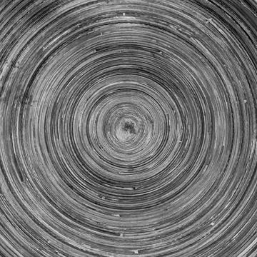 The concentric abstract background with wood texture Stock Photos