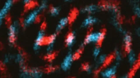 Concentric Circle Noise Field Visual Loop Stock Footage 40611950