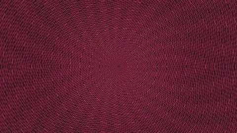 Concentric circles pattern with bold lines in red and Stock Footage 339515599