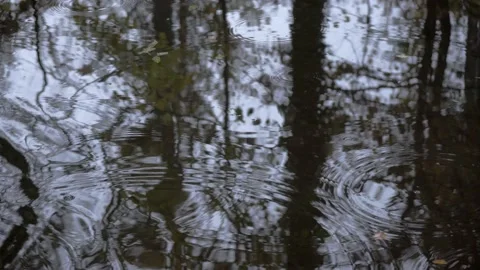 Concentric circles on the surface of water 動画素材 165241964