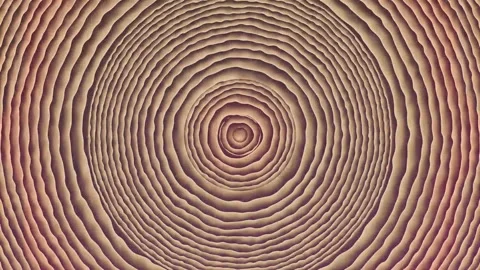 Concentric circular ripples pattern in grayscale with depth effect a abstract Stock-Footage 335523707