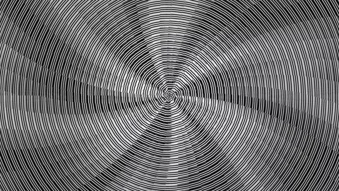 Concentric lines create a swirling pattern in black and Stock Footage 339454597