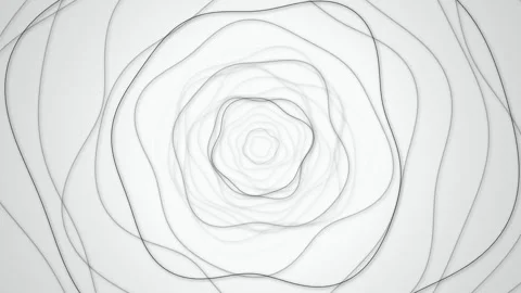Concentric organic rose wavy lines seamless loop motion background Vídeos de archivo 343898646