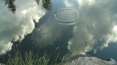 Concentric ripples in mirroring lake after throwing pebble in the water Stock Footage 34173961