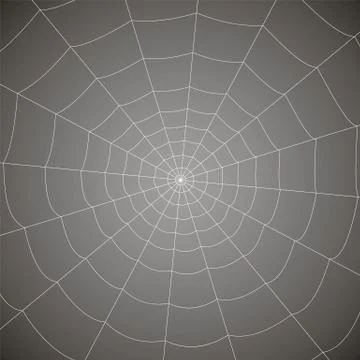 Concentric white web on a gray background Stock Illustration
