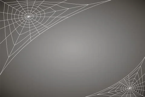 Concentric white web on a gray background Illustrazione stock