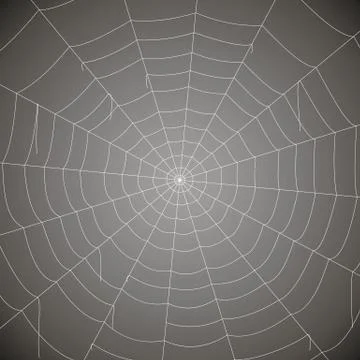 Concentric white web on a gray background Stock Illustration