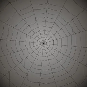 Concentric white web on a gray background Stock Illustration