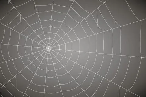 Concentric white web on a gray background Illustrazione stock
