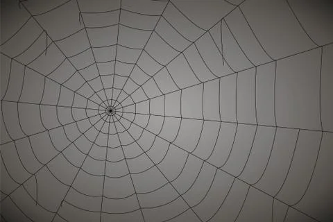 Concentric white web on a gray background Stock Illustration