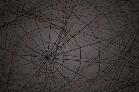 Concentric white web on a gray background Illustrazione stock