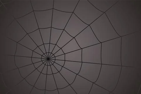 Concentric white web on a gray background 스톡 일러스트