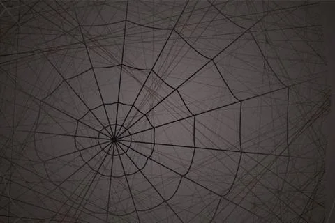 Concentric white web on a gray background 스톡 일러스트