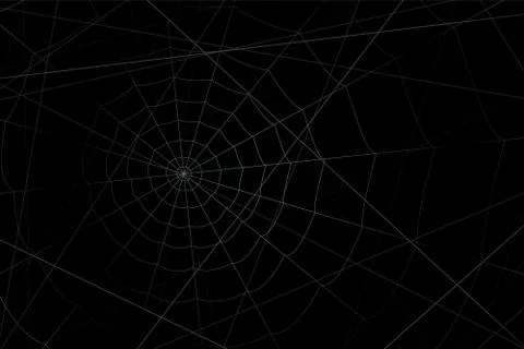 Concentric white web on a gray background Stock Illustration