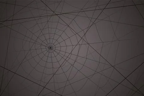 Concentric white web on a gray background Illustrazione stock