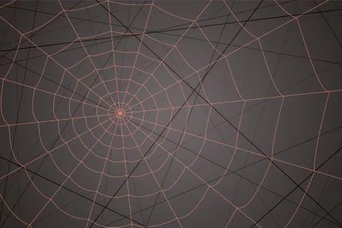 Concentric white web on a gray background Stock Illustration