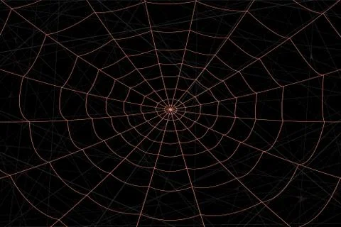 Concentric white web on a gray background Stock Illustration