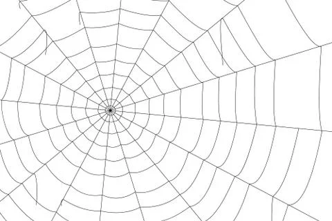 Concentric white web on a white background Stock-Illustration