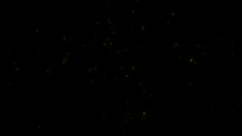 Concept 10-L1 View of Flying Fireflies Glowing at Night Stock Footage 137679358
