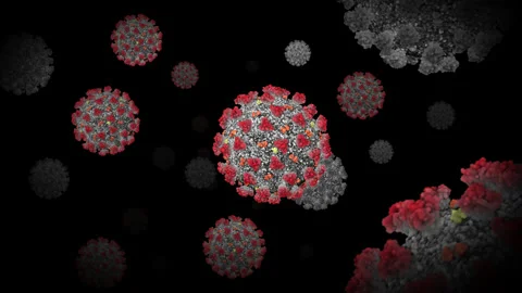 Concept 10-V1 3D Animation of Coronavirus (COVID-19) known as (SARS-CoV-2) Video stock 131583696