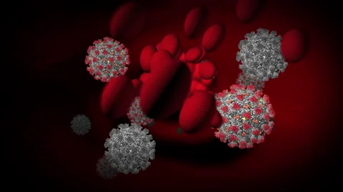 Concept 12-V1 3D Animation of Coronavirus (COVID-19) known as (SARS-CoV-2) Video stock 131584760